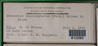Image Associated With the Occurence